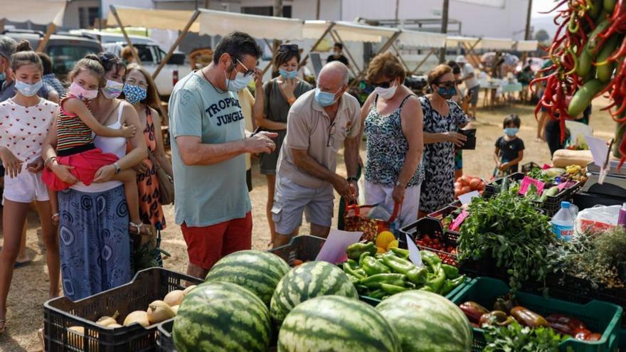 El Consell de Ibiza destina 400.000 euros a las cooperativas agrícolas de la isla