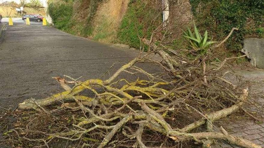 Restos de ramas cierran la entrada de la Rúa do Mar en Santa Cruz