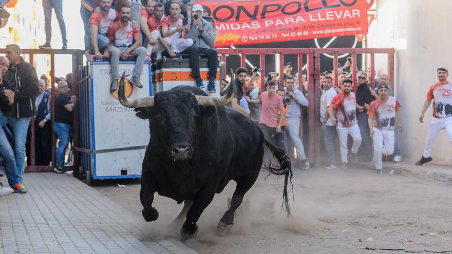 La peña l’Ermita ha celebrado este miércoles su 25º aniversario patrocinando dos toros.