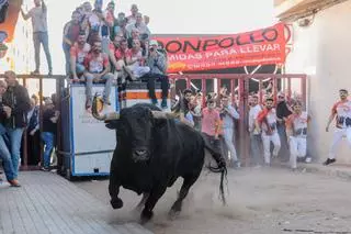 La peña l’Ermita celebra en la Vall su 25º aniversario con dos toros