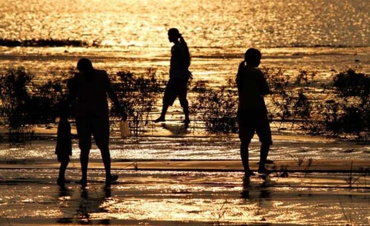 Pescadors pesquen a la riba del llac Kak, a Phonom Penh (Cambodja).