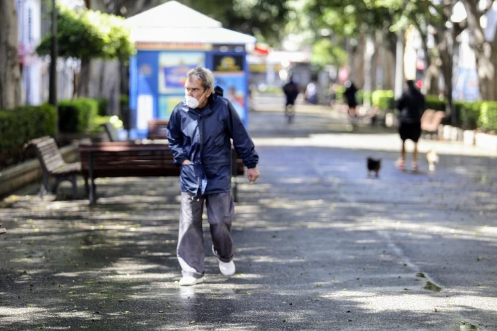 Coronavirus | Paseos por La Laguna y Santa Cruz