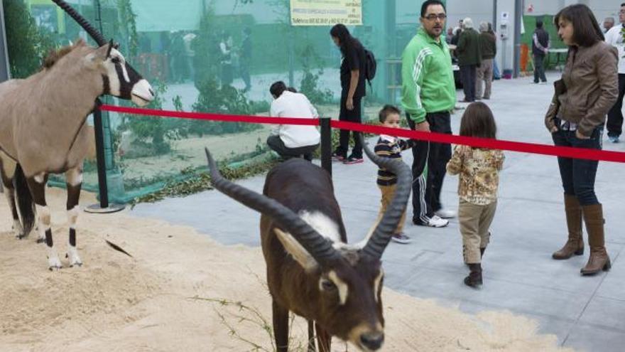 Asistentes a la ultima feria de caza de Benavente celebrada en otoño del año pasado.