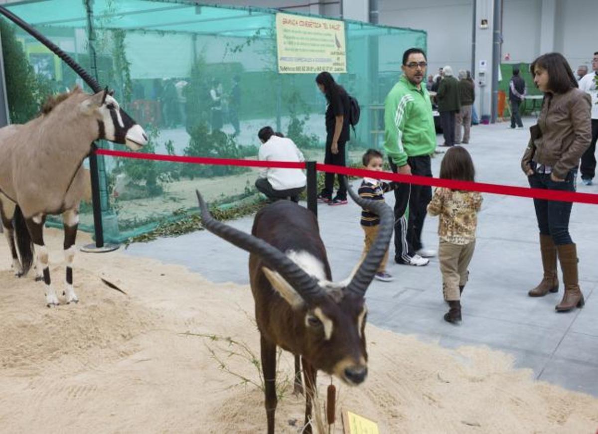 Asistentes a la ultima feria de caza de Benavente celebrada en otoño del año pasado.
