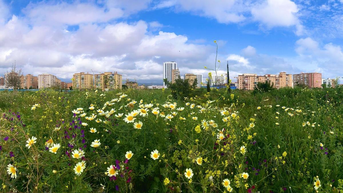 Vista parcial de los terrenos de Repsol, este mes, a las puertas de la primavera.