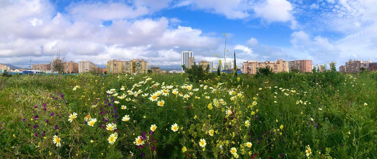 Vista parcial de los terrenos de Repsol, este mes, a las puertas de la primavera.