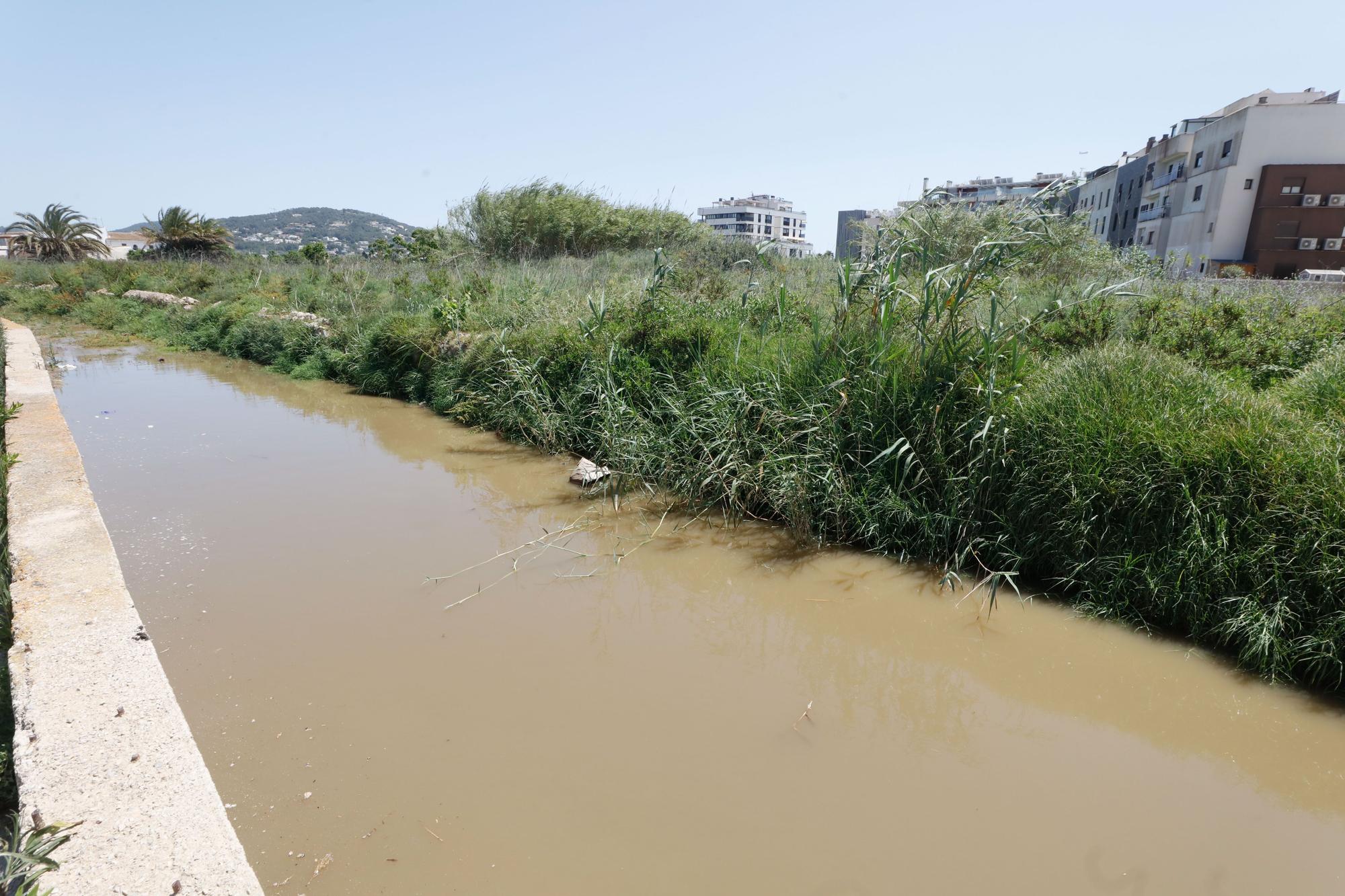 Nuevo vertido en el torrente de sa Llavanera de Ibiza