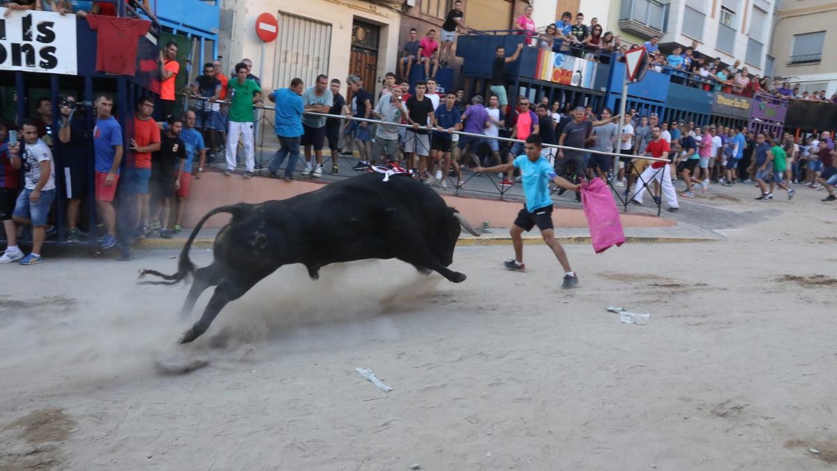 En el apartado taurino, son 19 los astados cerriles que recorrerán las calles.