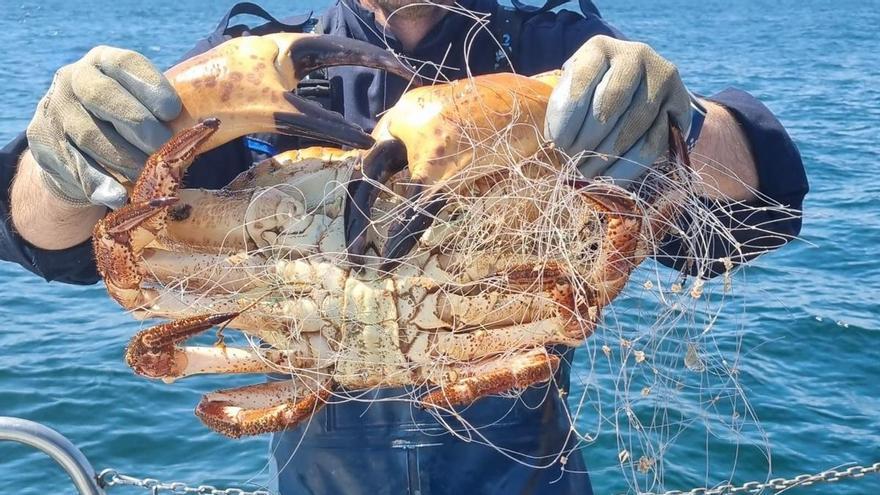 Gardacostas incauta 770 artes de pesca a los furtivos en varios operativos entre Corrubedo y Baiona