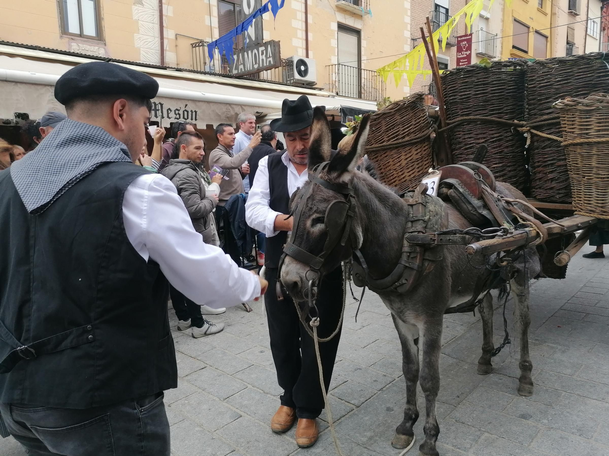 GALERÍA | Toro recrea la vendimia tradicional en el desfile de carros