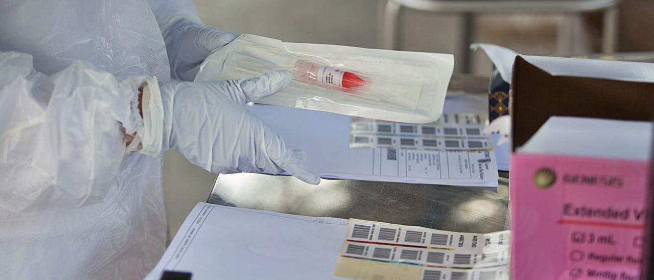 Detalle de una PCR hecha en un centro de salud de Eivissa. | VICENT MARÍ