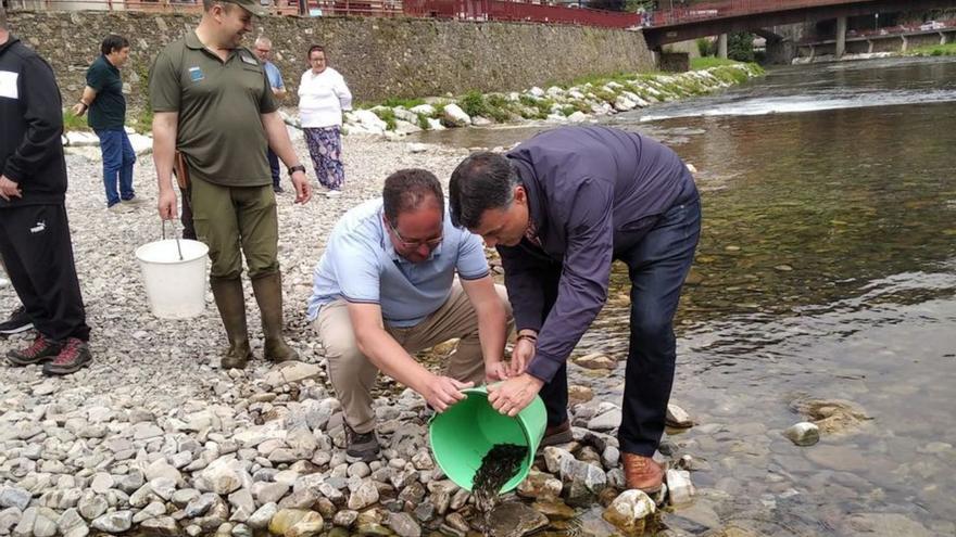 Jorge Martínez y el alcalde de Cangas, José Luis Fontaniella, durante la suelta de alevines en el río Narcea. | R. D. Á.