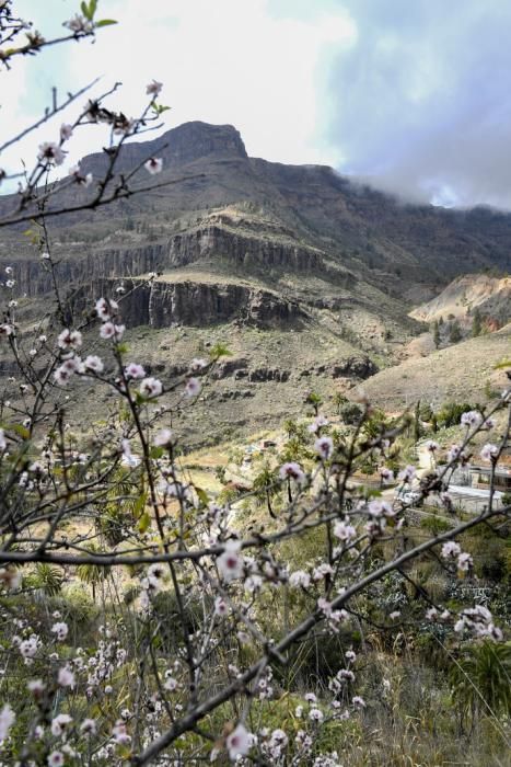 GRAN CANARIA 26-01-2019  SANTA LUCIA DE TIRAJANA-SAN BARTOLOME DE TIRAJANA. Fotos al macizo de Amurga. Fotos a los terrenos de la familia de Román comprados por el Cabildo.  FOTOS: JUAN CASTRO