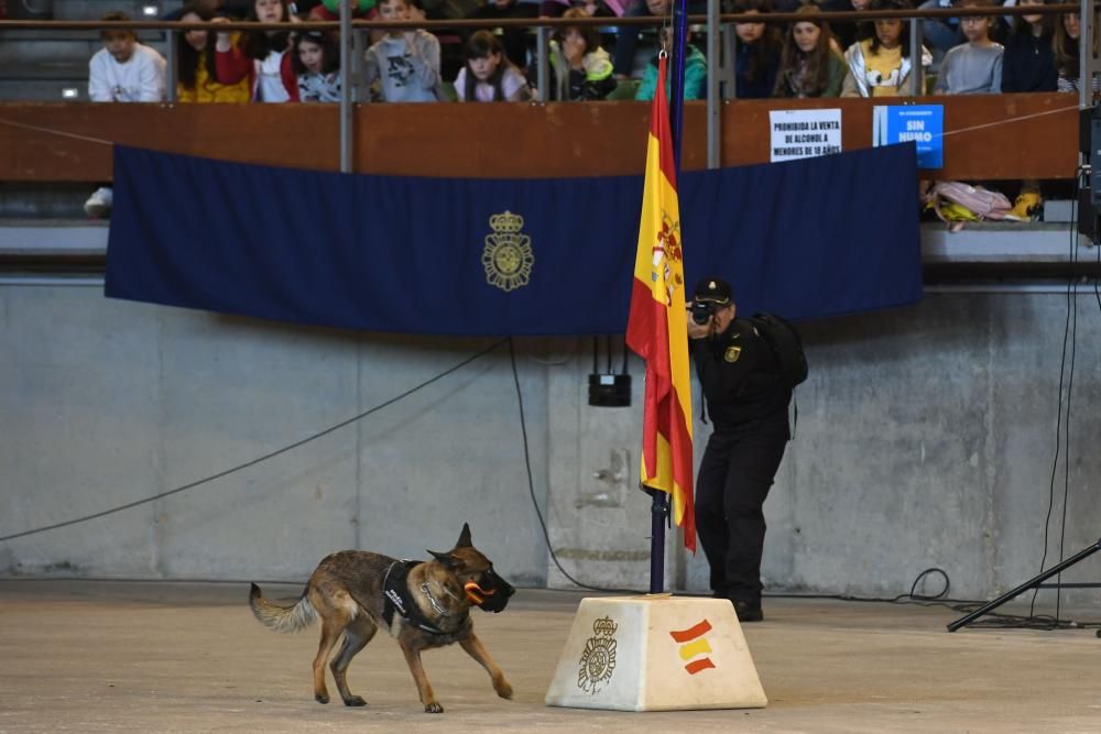 Exhibición de unidades especiales de la PN