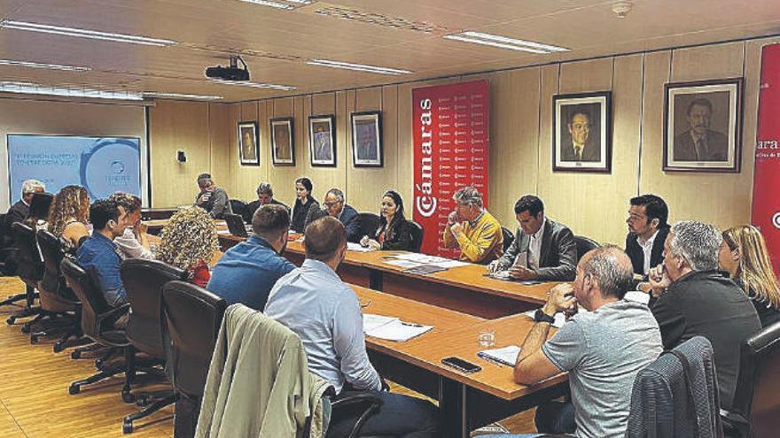 Reunión de empresarios con la consejera de Acción Exterior del Cabildo.