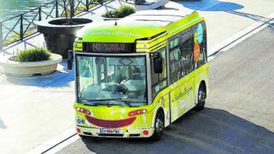 Promover la cría del flamenco con una línea de bus lanzadera