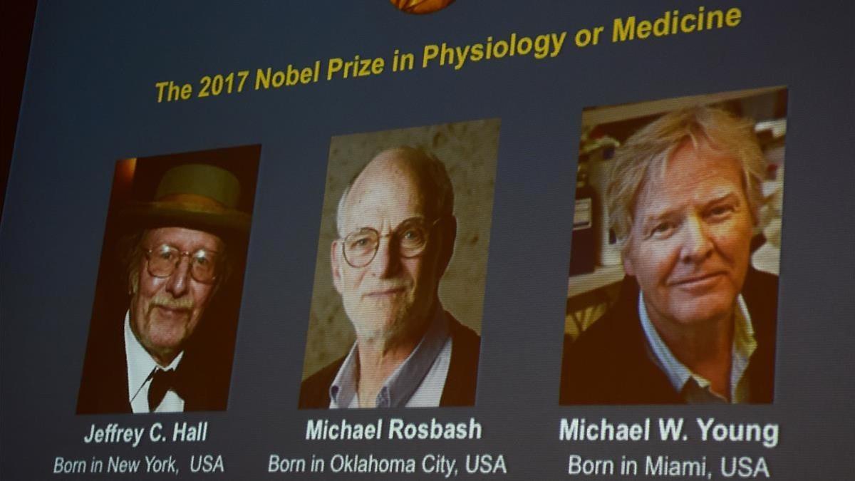 Nobel Prize in Physiology or Medicine  L-R  Jeffrey C  Hall  Michael Rosbash and Michael W  Young are pictured on a display during a press conference at the Karolinska Institute in Stockholm