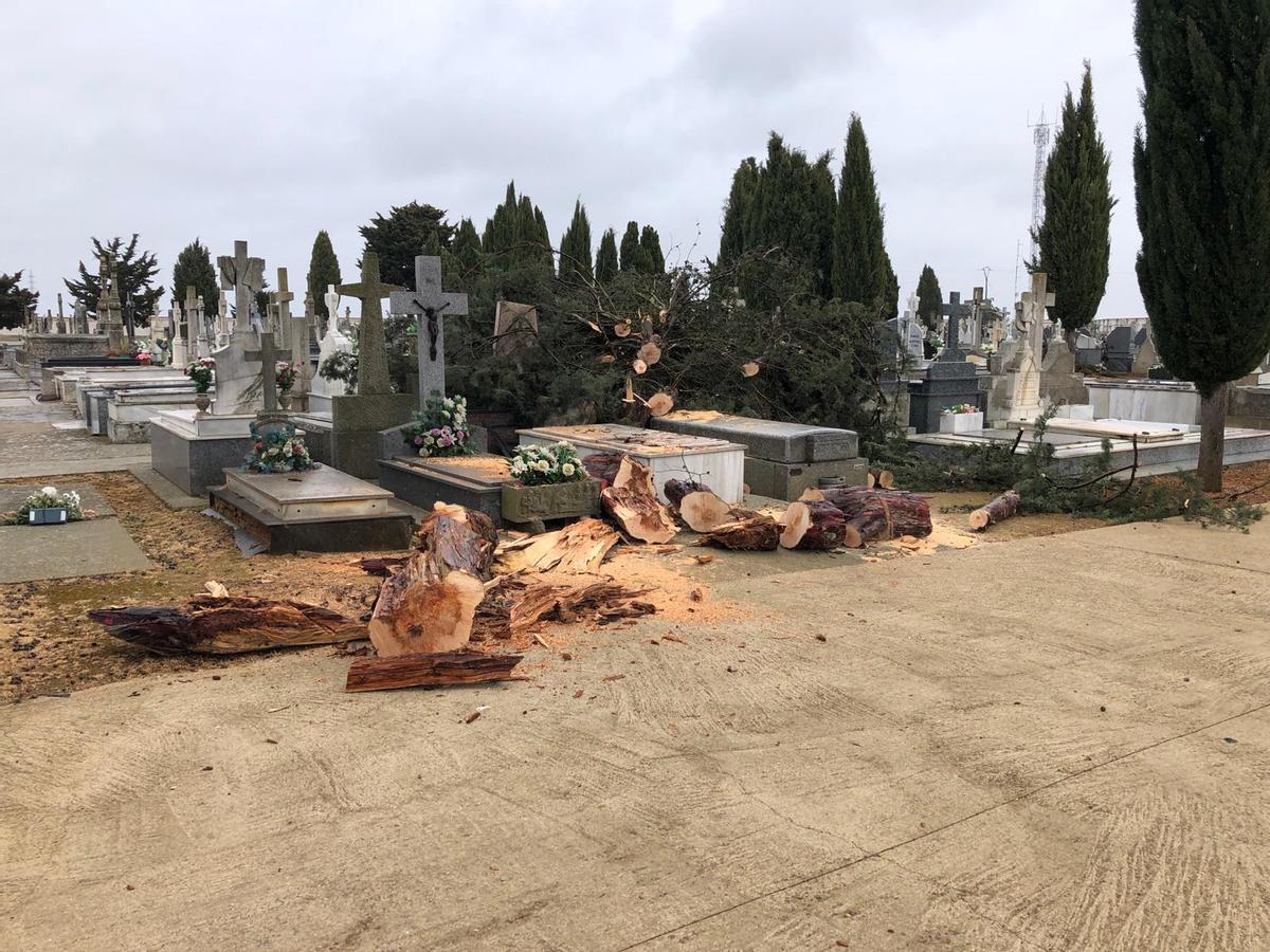 En el cementerio municipal los bomberos han tenido que retirar ramas de árboles.