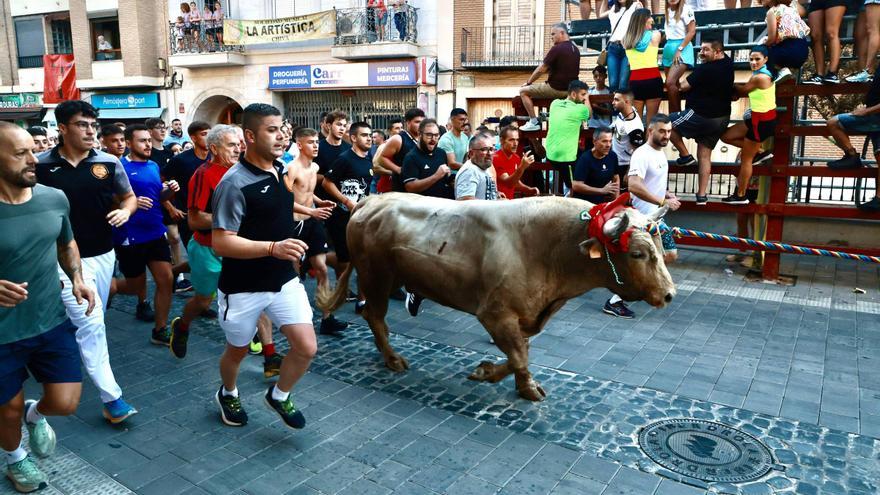 Los antitaurinos tildan de &quot;lamentable&quot; que se justifique la moción de Chiva por la polémica del Torico