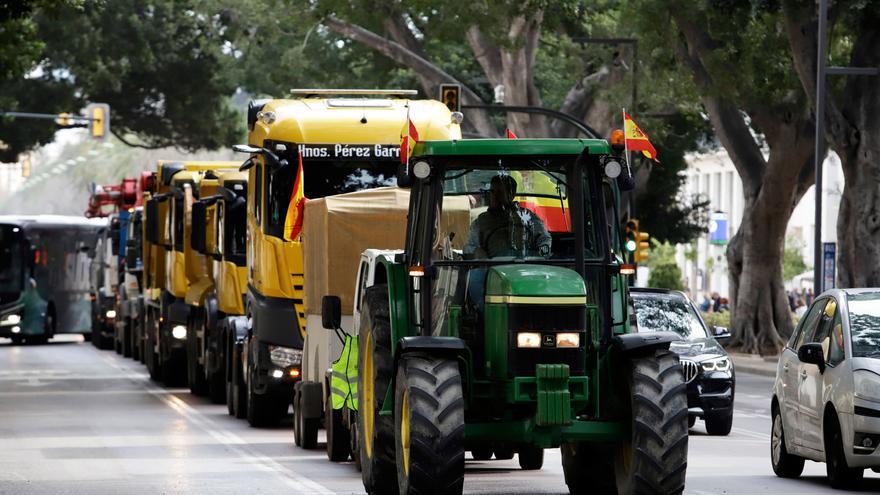 Las cooperativas agrarias de Andalucía están al límite: cámaras saturadas de producto, escasez de pienso y falta de envases