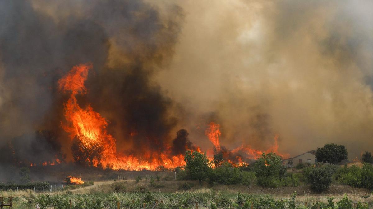 Incendio en Losacio.