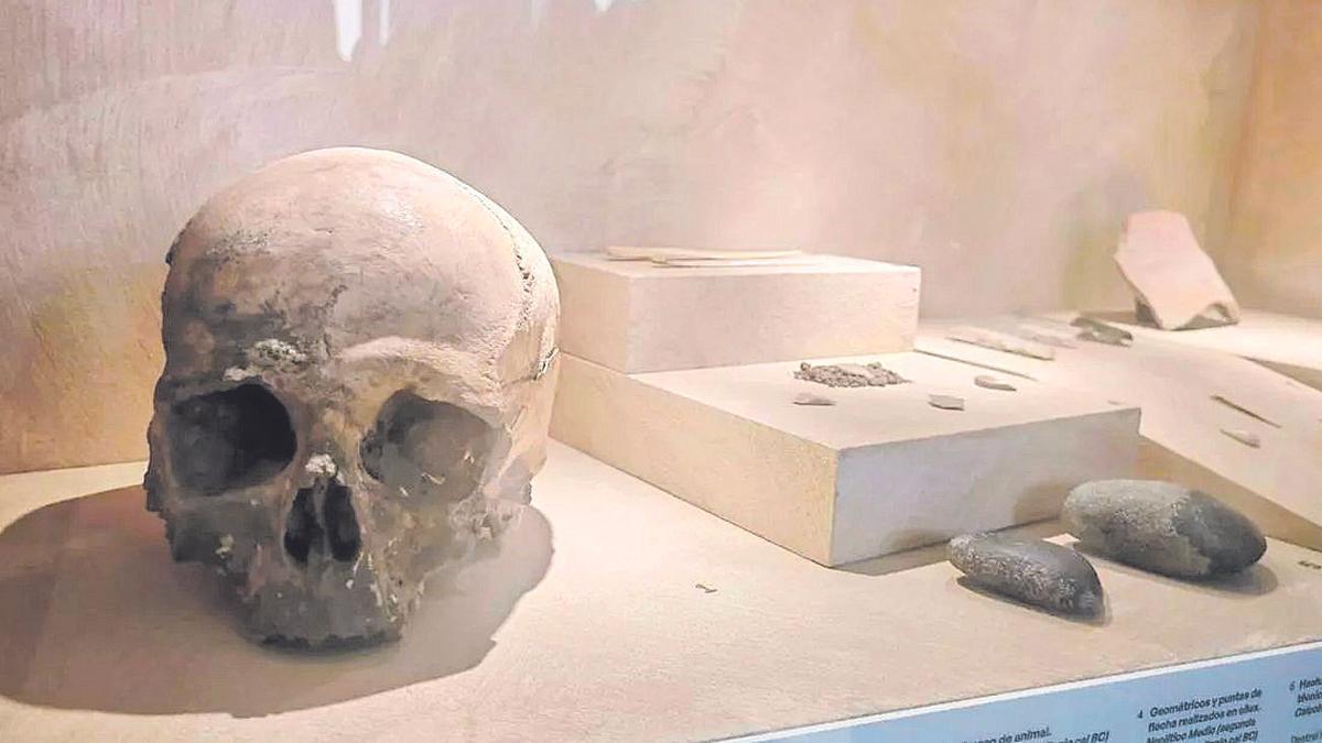 Un cráneo de un varón entre 35 y 45 años localizado en la galería más interna de la cueva