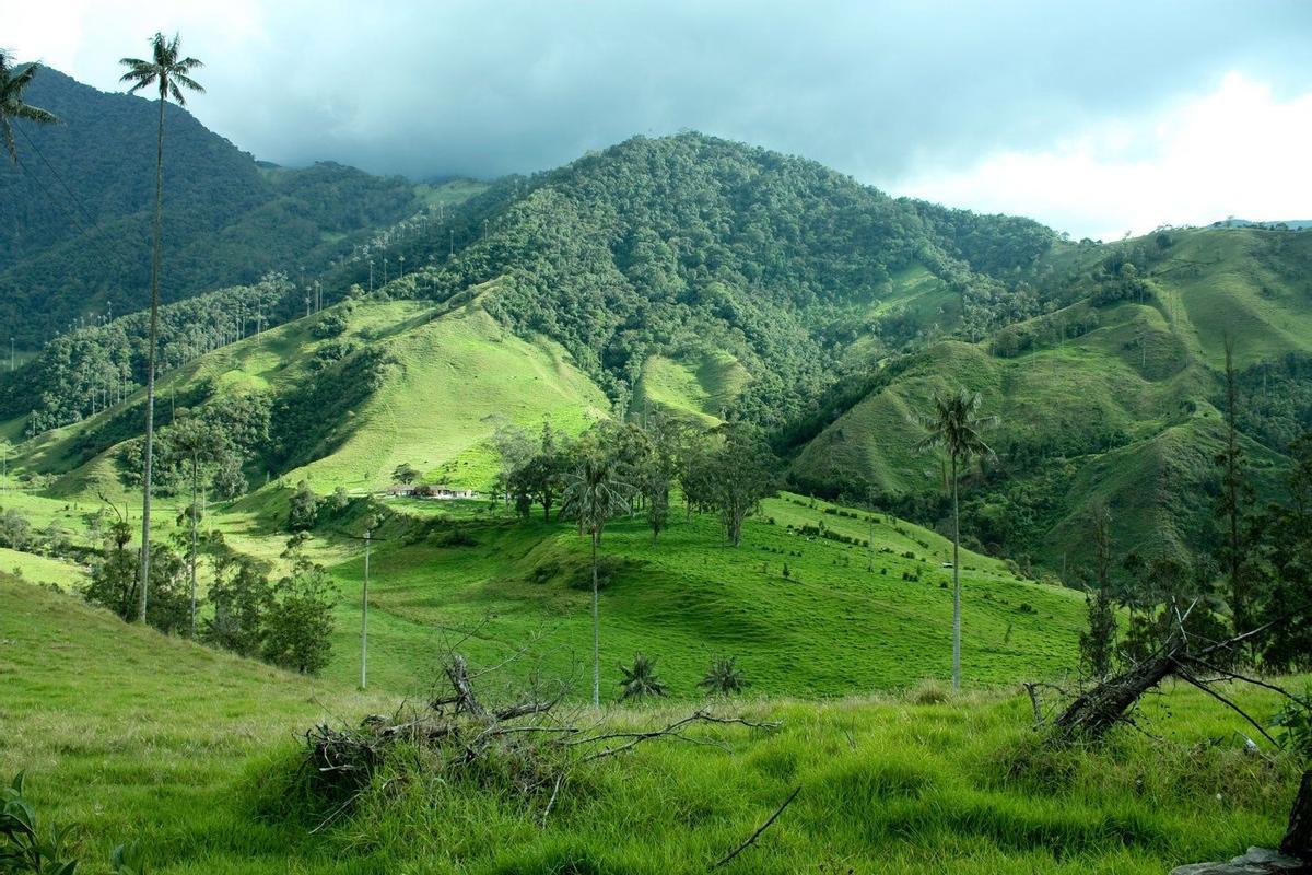 COLOMBIA.  En todo su esplendor