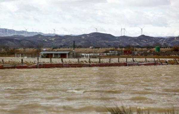 Fotogalería: La crecida del Ebro a su paso por Zaragoza