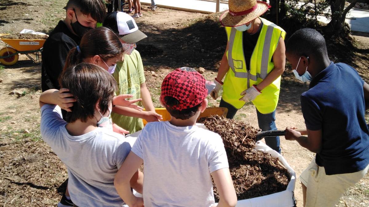 Los alumnos repartiendo mulch procedente de los árboles afectados por el temporal de Banyalbufar.