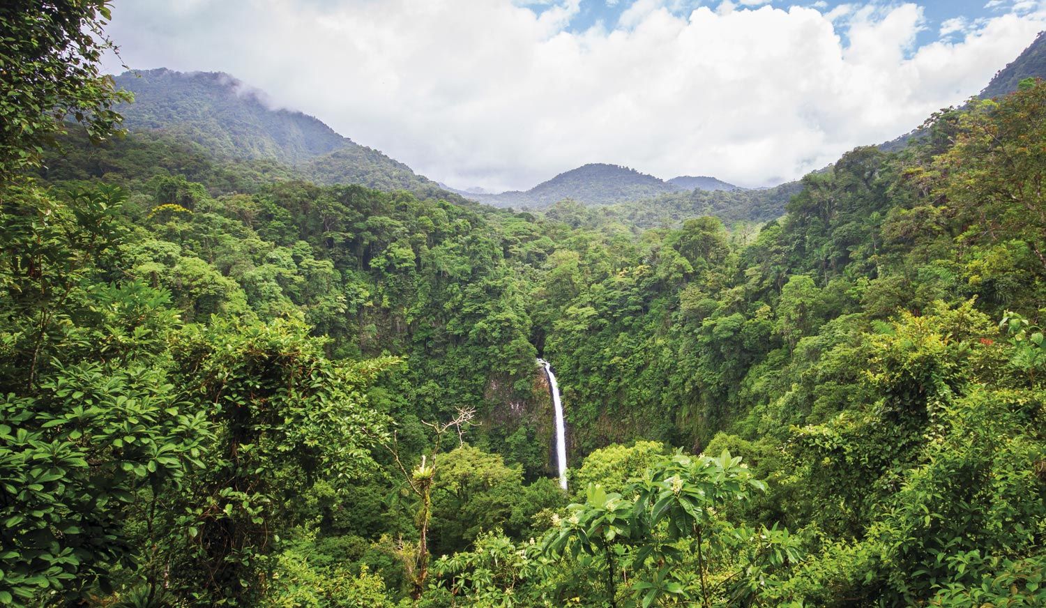 Parque Nacional Arenal