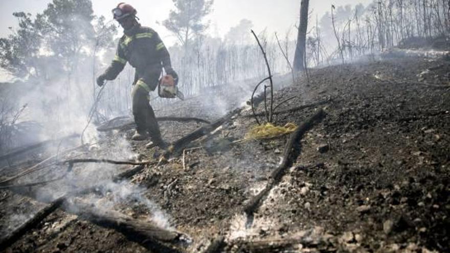 El foc de València crema 1.200 hectàrees