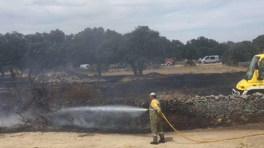 Un incendio quema 0,80 hectáreas de pasto en Muga