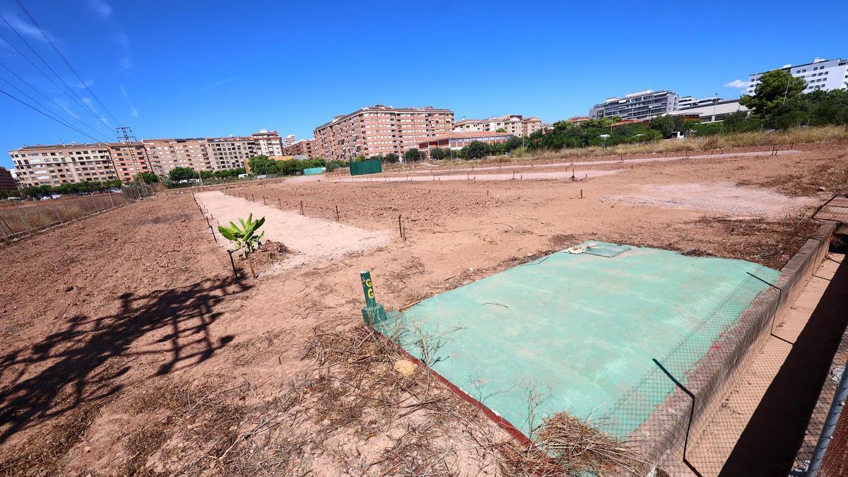 Una imagen del 'nuevo' huerto urbano en la zona de Censal.