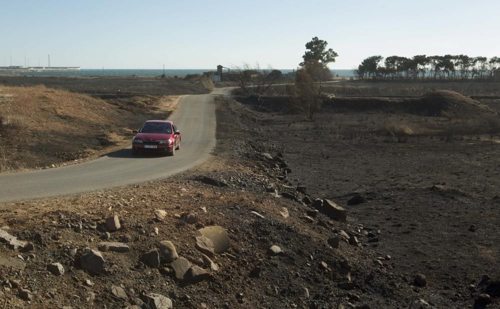 La Marjal dels Moros tras el incendio