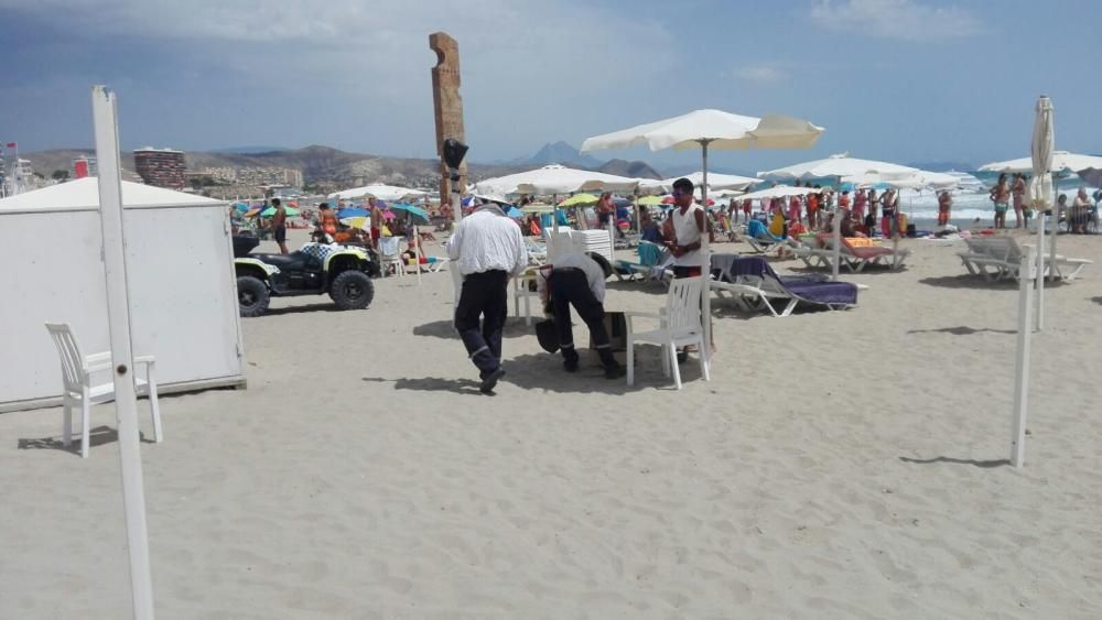 Retiran un enjambre del poste de una sombrilla en una playa de El Campello