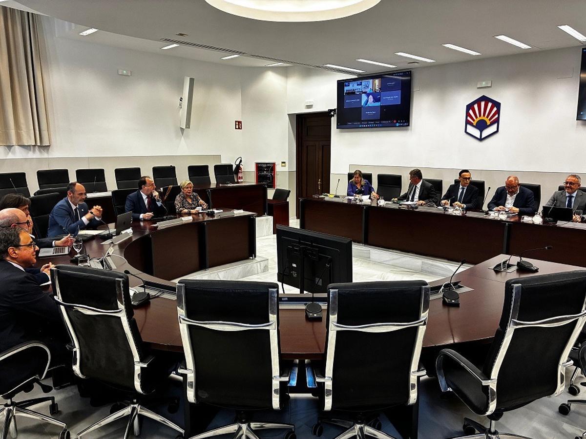Comisión de programación del Consejo Andaluz de Universidades celebrada en Córdoba.