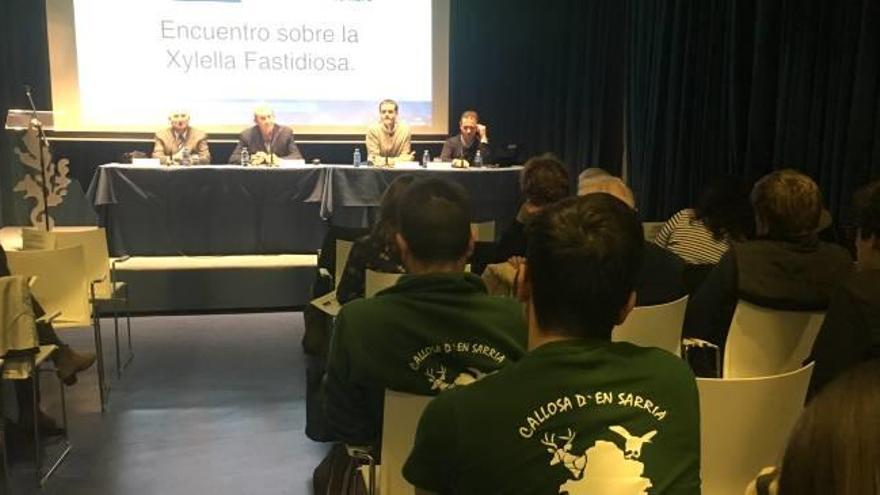 Un momento de la jornada de ayer en Alicante.