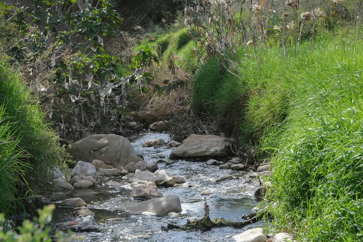 Cauce del río Vinalopó