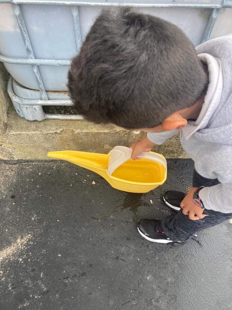 El Cotayo se vuelca con su cultivo ecológico: así trabajan los huertos en el colegio de Siero