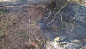 Imagen del punto de inicio del incendio de Llançà