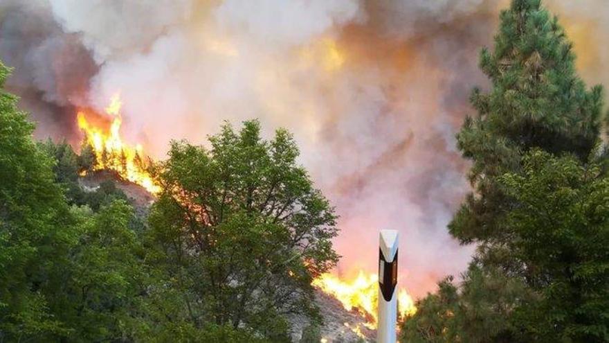 El fuego de Gran Canaria causa una &quot;catástrofe ambiental&quot; sin precedentes