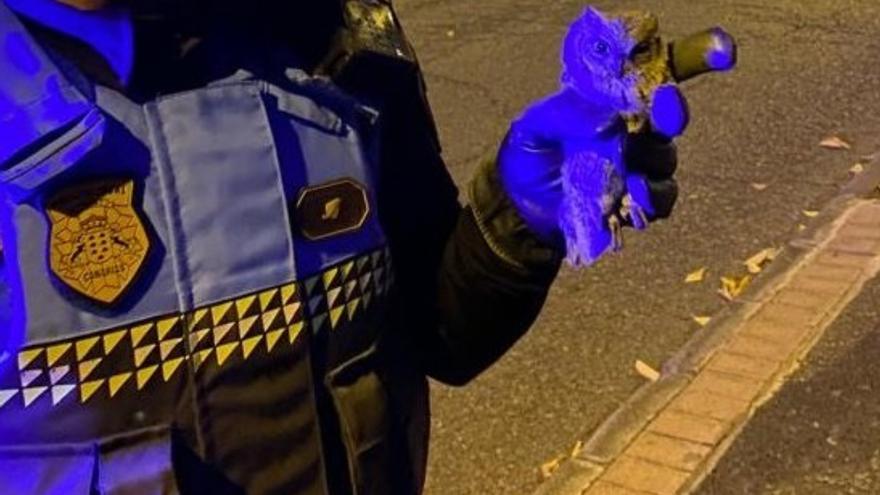 Así fue el rescate de esta ave nocturna en Las Palmas de Gran Canaria