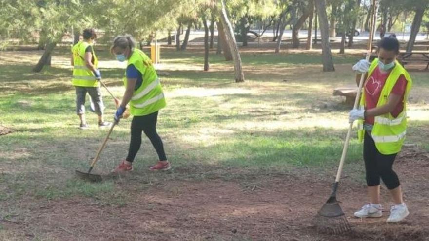 La formación en jardinería es una de las especialidades del taller de empleo.