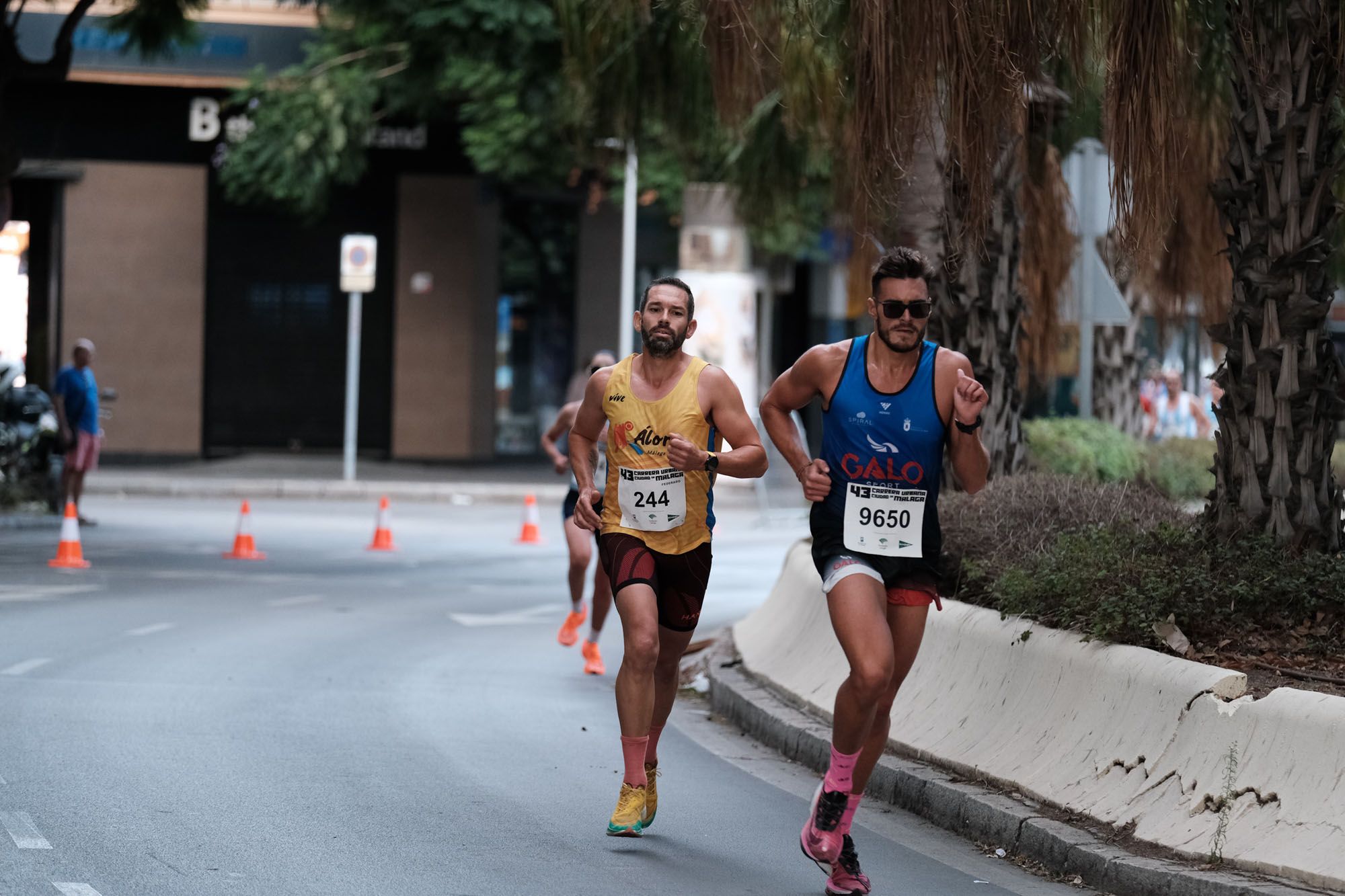 La carrera urbana 'Ciudad de Málaga' de 2023, en imágenes