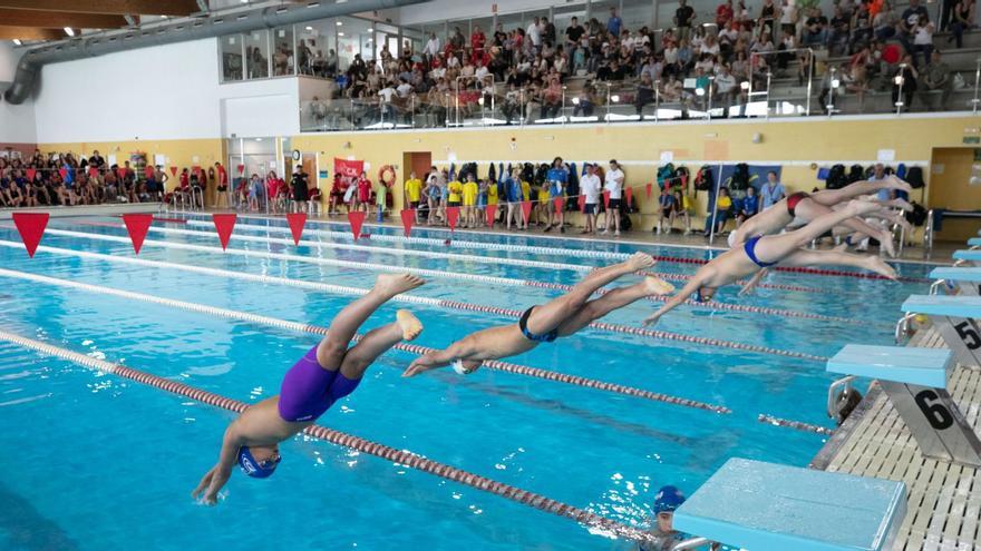 Varios momentos del trofeo de natación organizado durante el pasado fin de semana por el CN Eivissa en la piscina municipal de Es Viver. | FOTOS: VICENT MARÍ