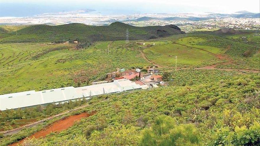 Canarias, región con menos superficie media por explotación agrícola