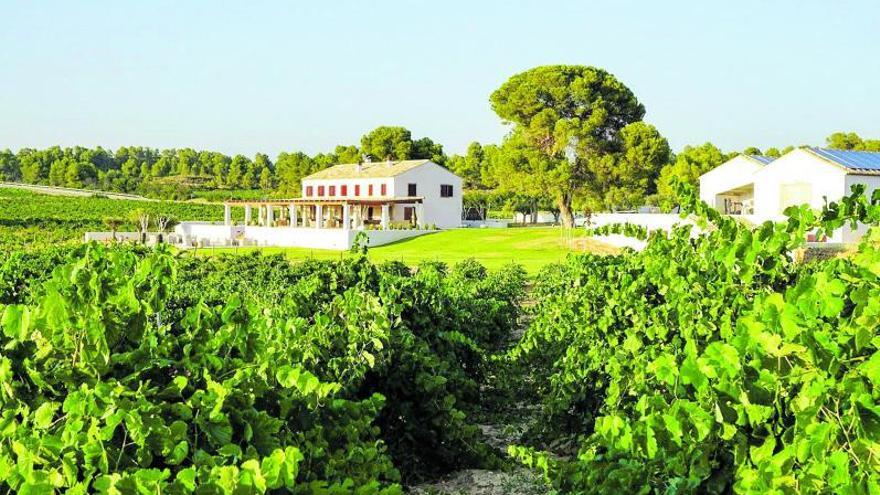 Panorámica de la nueva
bodega de Arráez en La Font
de la Figuera.