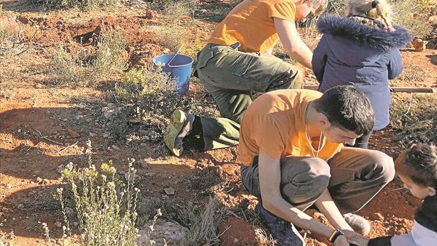 La Comunitat suma 100.000 exemplars d’arbres i arbustos