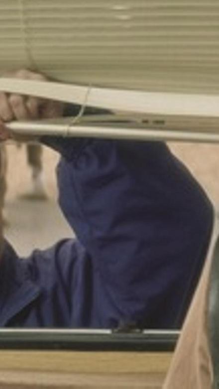 El vuelo de la paloma