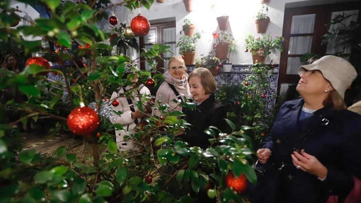 Patio abierto dentro del ciclo navideño.